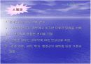  입양(사회학과) 15페이지