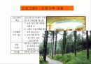 (프로포절) 치매노인 부양가족을 위한 통합 치료 프로그램 22페이지