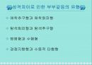 부부갈등의 원인과 해결방안 11페이지