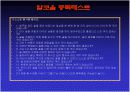  인간 각종 병리현상과 학습된 무기력이 왜 우울증과 관련 있는가? 18페이지
