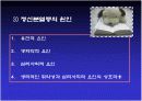  인간 각종 병리현상과 학습된 무기력이 왜 우울증과 관련 있는가? 21페이지