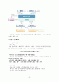 우리나라 전력산업 13페이지