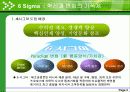 6 Sigma 혁신과 변화의 기폭제 3페이지