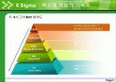 6 Sigma 혁신과 변화의 기폭제 6페이지