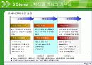 6 Sigma 혁신과 변화의 기폭제 8페이지