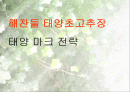 해찬들 태양초고추장  태양 마크 전략 1페이지