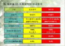 해찬들 태양초고추장  태양 마크 전략 13페이지