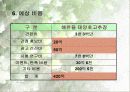 해찬들 태양초고추장  태양 마크 전략 15페이지