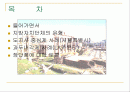 도지사중심제와 과두내각제 2페이지