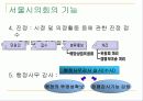 도지사중심제와 과두내각제 11페이지