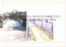 도지사중심제와 과두내각제 17페이지