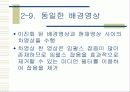획득 영상에서의 물체인식 및 추적 16페이지