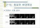 획득 영상에서의 물체인식 및 추적 17페이지