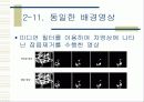 획득 영상에서의 물체인식 및 추적 18페이지