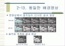 획득 영상에서의 물체인식 및 추적 20페이지