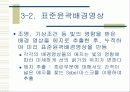 획득 영상에서의 물체인식 및 추적 22페이지