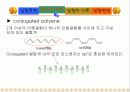 Absorption Spectra of Conjugated dye 5페이지