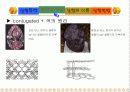 Absorption Spectra of Conjugated dye 7페이지