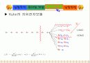 Absorption Spectra of Conjugated dye 12페이지