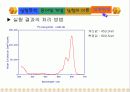 Absorption Spectra of Conjugated dye 20페이지