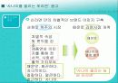 마케팅 사례분석 (신라면) 9페이지