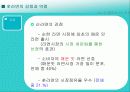 마케팅 사례분석 (신라면) 14페이지