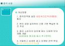마케팅 사례분석 (신라면) 24페이지