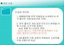 마케팅 사례분석 (신라면) 26페이지
