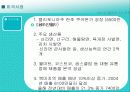 마케팅 사례분석 (신라면) 27페이지
