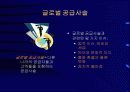 공급사슬관리(SCM)와 전사적자원관리(ERP) 37페이지
