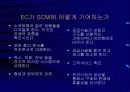 공급사슬관리(SCM)와 전사적자원관리(ERP) 40페이지