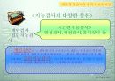 학습자의 지적특성과 발달 9페이지