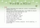 지방은행의 조직구조 변화와 성과(부산은행) 4페이지