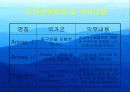 환경문제-기후변화협약 11페이지