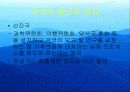 환경문제-기후변화협약 12페이지