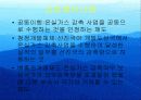 환경문제-기후변화협약 16페이지