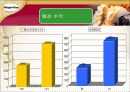 한국 하겐다즈의 1위 탈환을 위한 C.C전략 18페이지