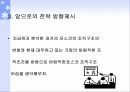 조직구조 변화와 성과 분석-포스코 24페이지