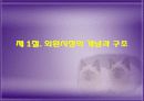 국제 금융론 외환시장과 환율 3페이지