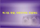 국제 금융론 외환시장과 환율 7페이지