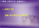 국제 금융론 외환시장과 환율 8페이지