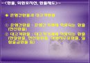 국제 금융론 외환시장과 환율 11페이지