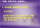 국제 금융론 외환시장과 환율 12페이지