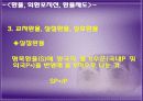 국제 금융론 외환시장과 환율 13페이지