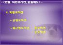 국제 금융론 외환시장과 환율 15페이지
