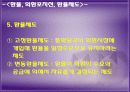 국제 금융론 외환시장과 환율 16페이지