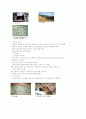 서비스업의 환경경영(지속가능한 경영) 7페이지