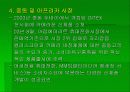 애니콜 성공신화 14페이지