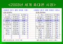 애니콜 성공신화 16페이지