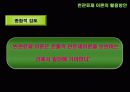 관료제의 변화에 대해 12페이지